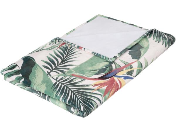 Microfibre Blanket