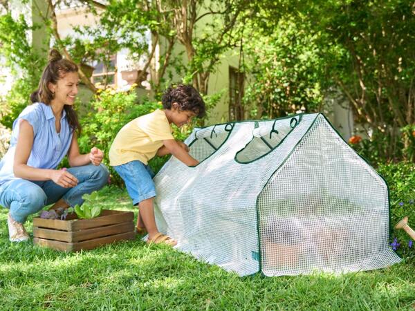 Cold Frame Assortment