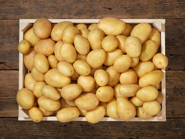 Pommes de terre fermes bio