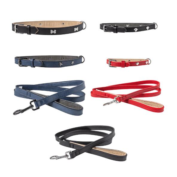 Halsband of leiband voor honden