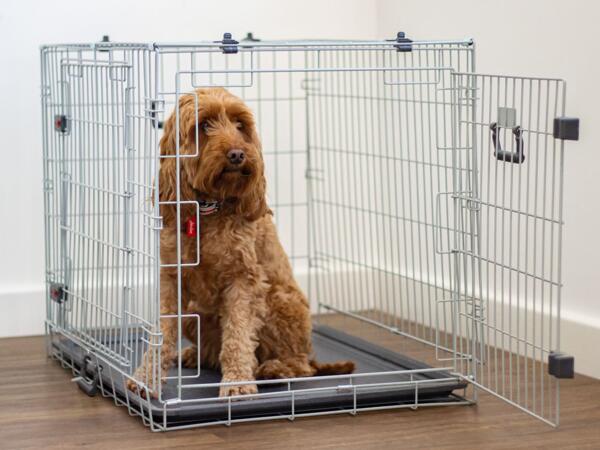 Dog Crate