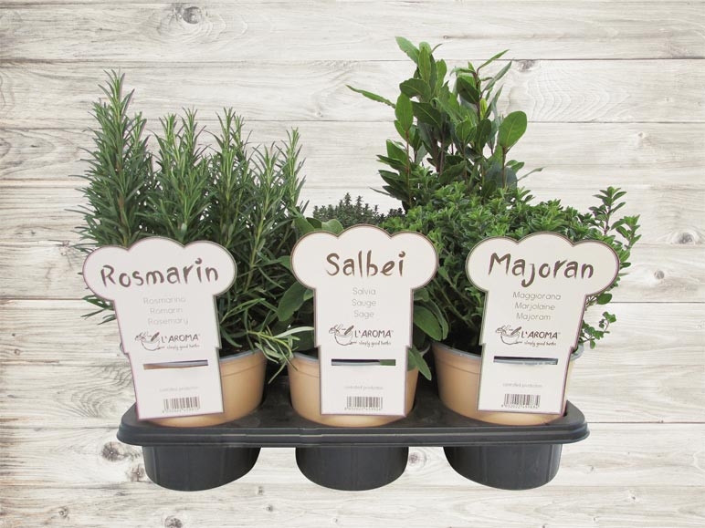 Herbes aromatiques (dès 21.4.)