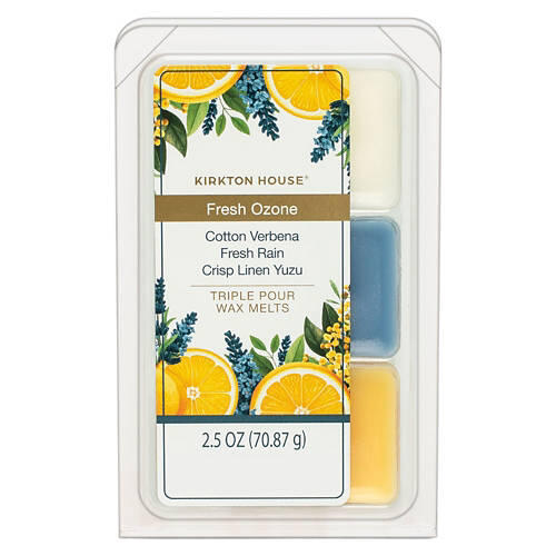 Triple Pour Scented Wax Melts - Fresh Ozone, 2.5 oz