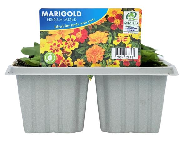 Summer Bedding