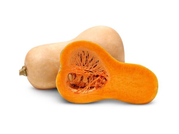 Butternut Squash
