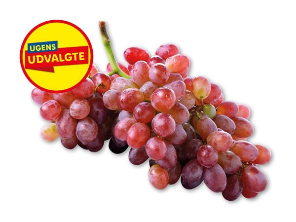 Røde stenfri vindruer