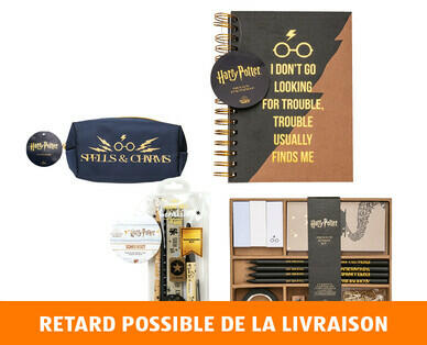 HARRY POTTER 
 ASSORTIMENT DE PAPETERIE
