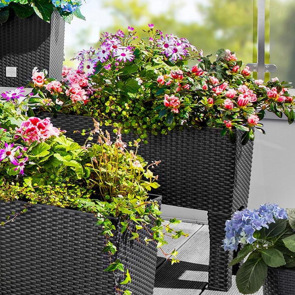 Pflanzkasten 2in1 in Rattan-Optik