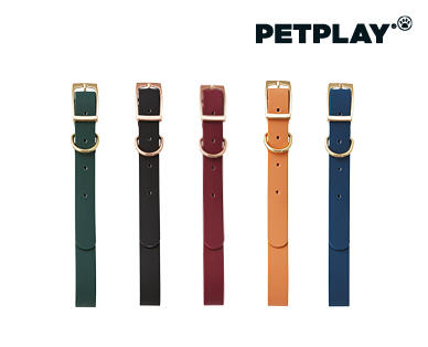 Dog Lead and Collar Assortment
