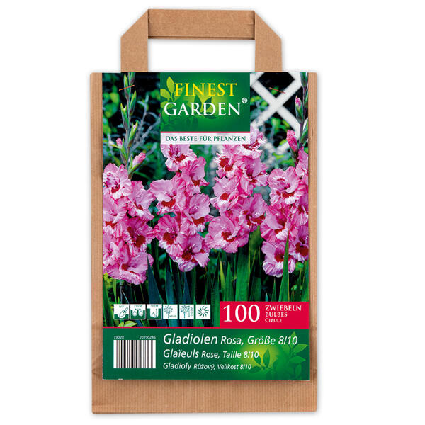 Blumenzwiebeln in Papiertasche