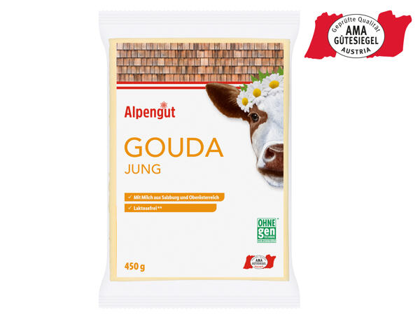 Gouda