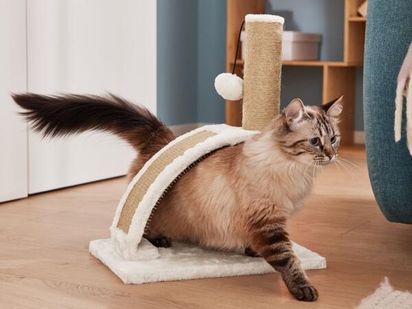 Cat Scratching Post