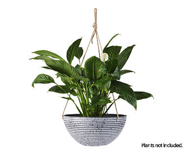 Resin Hanging Pots 2pc or Plastic Pots