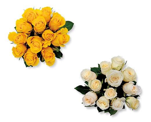 12 Stem Rose Bouquet Assorted Colors