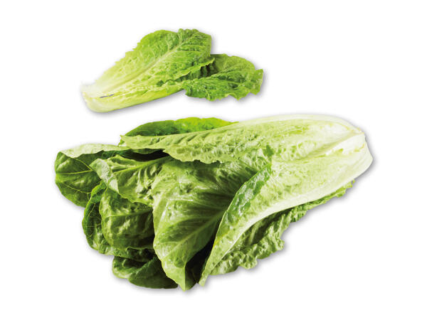 Dansk økologisk hjertesalat