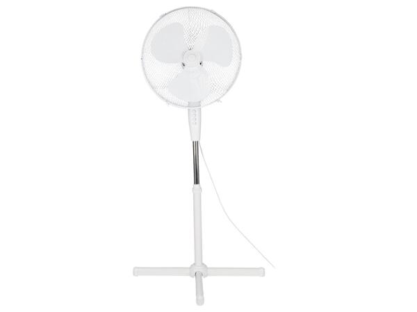 Pedestal Fan