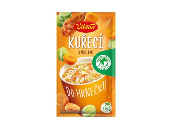 VITANA POLÉVKA DO HRNEČKU