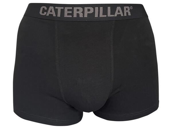 CAT BOXERKY - 2 KUSY