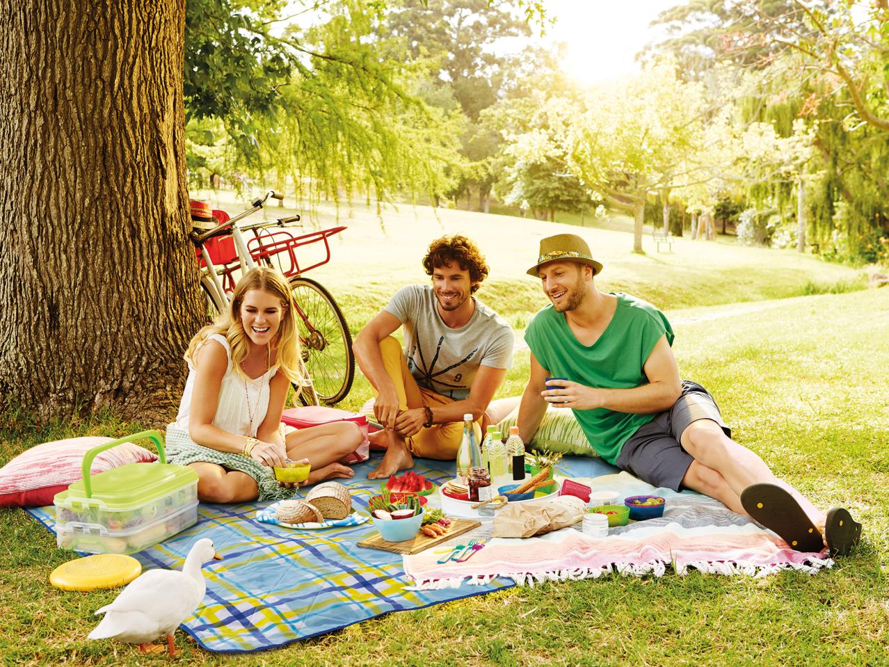 Crivit Extra Large Picnic Blanket1