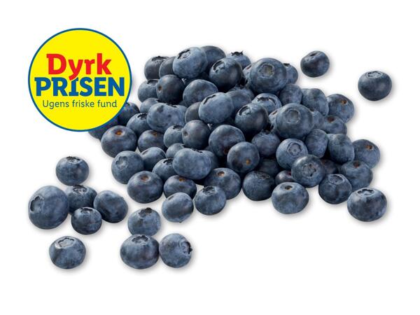 Danske blåbær