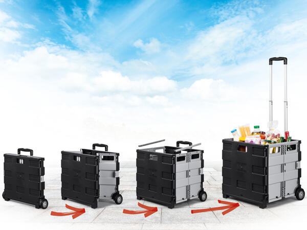 Transportbox, ca. 43 l