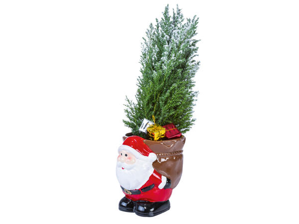 Weihnachtsmann mit Konfiere