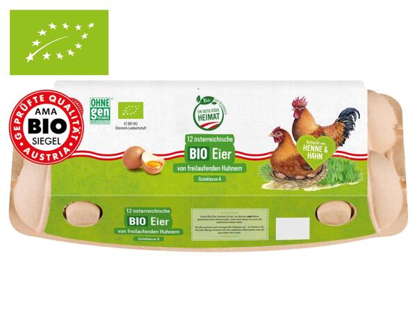 Bio Eier