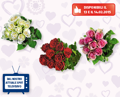 Rose di San Valentino a gambo lungo FAIRTRADE Max Havelaar