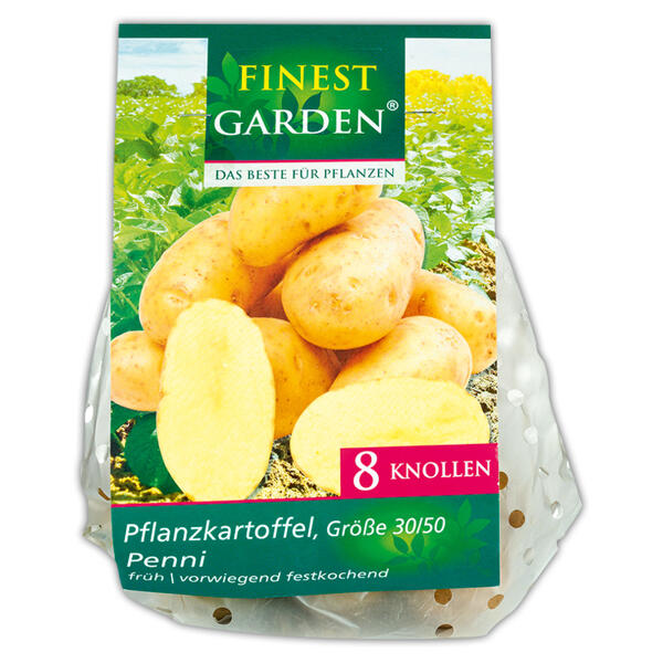 Pflanzkartoffeln