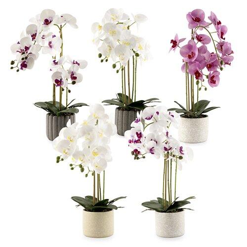HOME CREATION Naturgetreue Orchidee