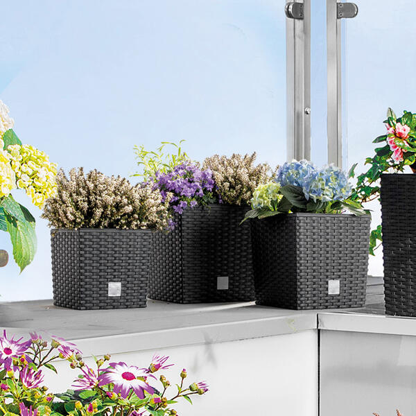 Blumentopf
