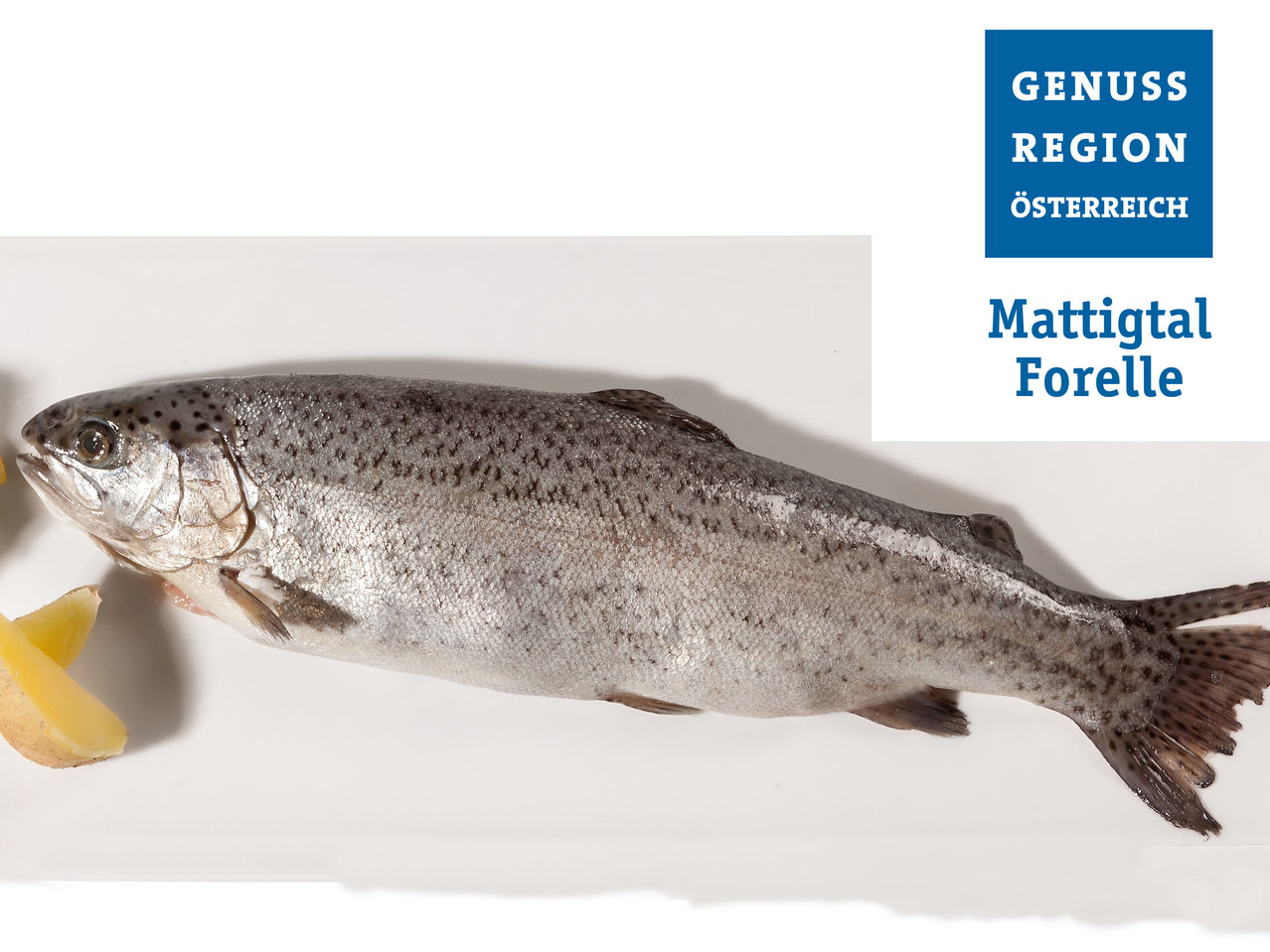 GENUSS REGION ÖSTERREICH Mattigtal Forelle