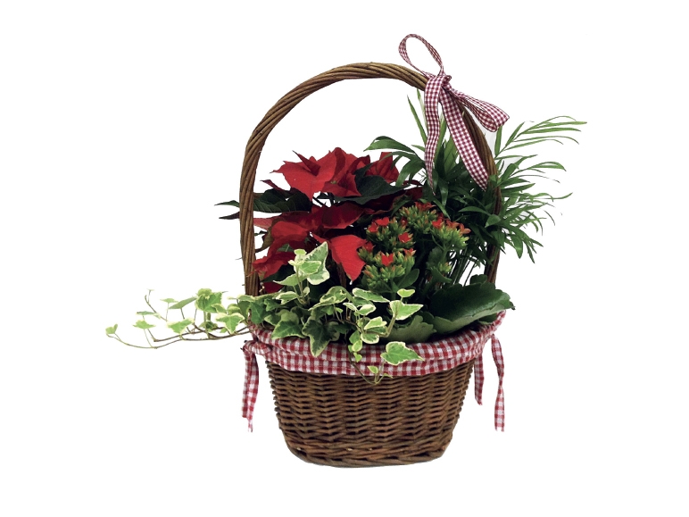 Christmas Basket