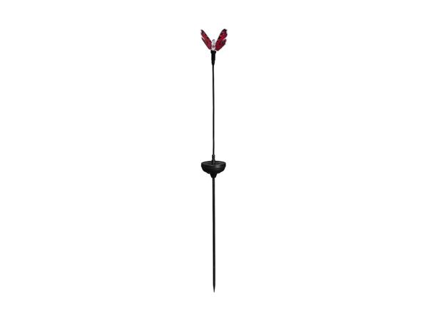LIVARNO HOME(R) LED-solcellesommerfugl