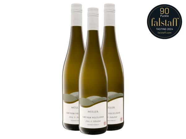 Grüner Veltliner Löss & Schotter