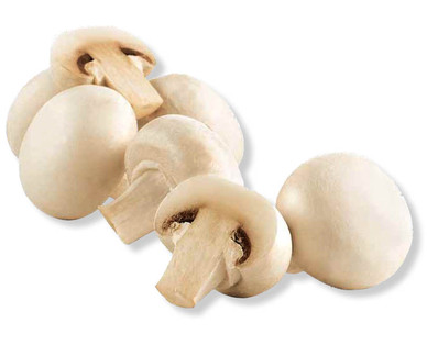 Champignons