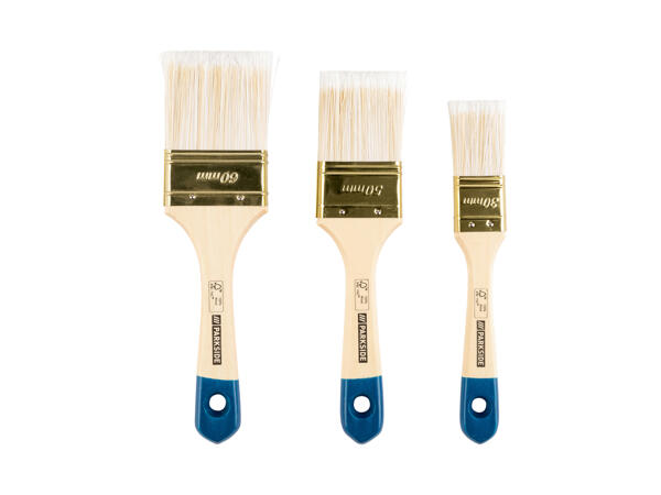 Paintbrush Set