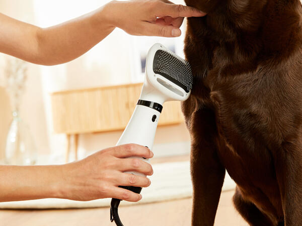 Pet Grooming & Drying Brush