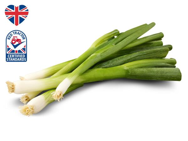British Spring Onions