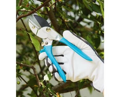 Bypass or Anvil Pruners
