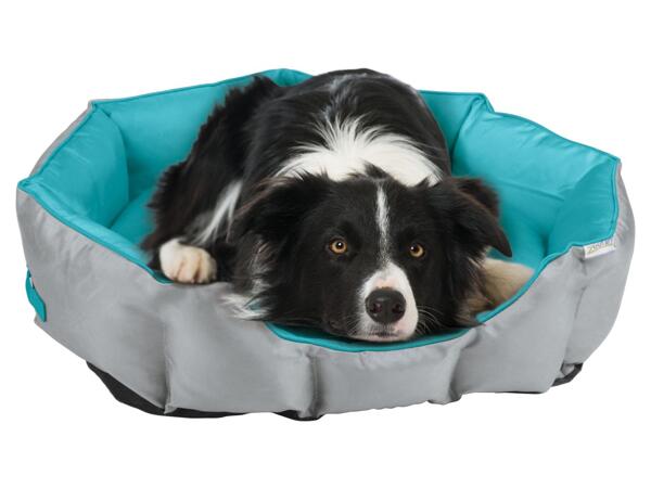Outdoor Dog Bed