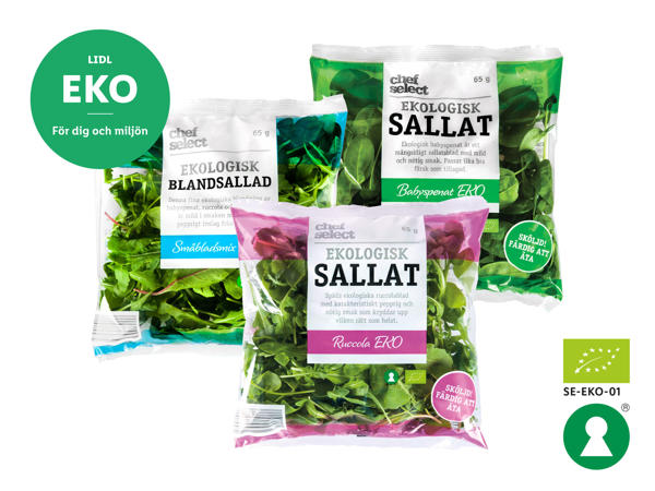 EKO sallad småbladsmix