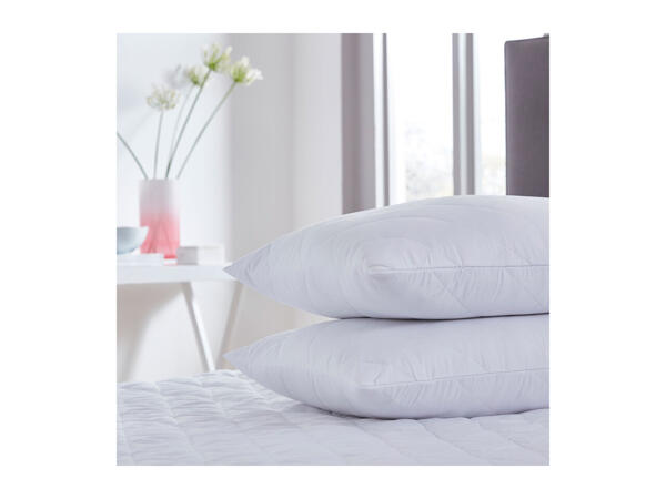 Silentnight Pillow