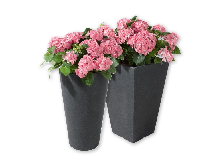 FLORABEST(R) Planters