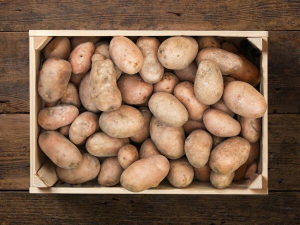 Pommes de terre