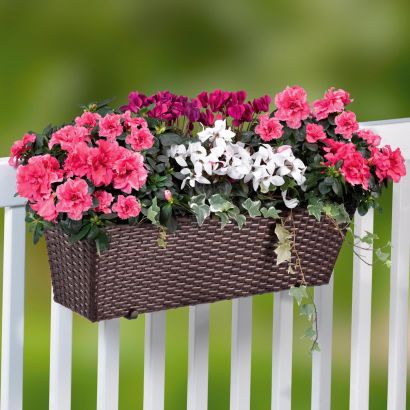 Blumenkasten