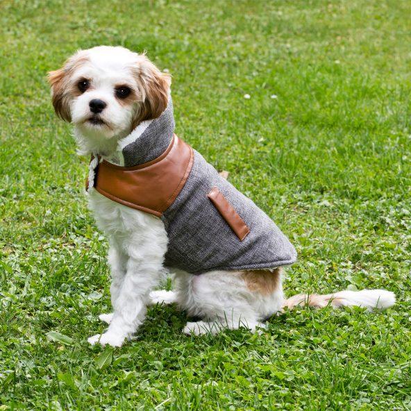 Hundejakke