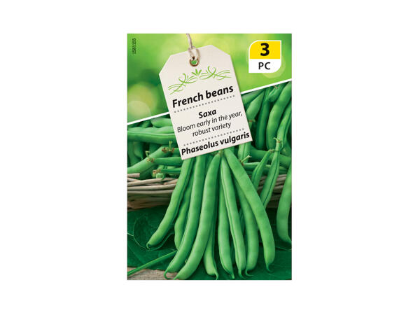 Large Leguminous Vegetable Seeds