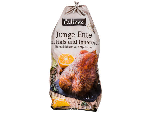 Junge Ente