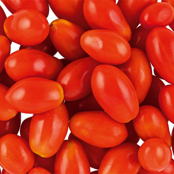 Bio-Dattel-Cherrytomaten